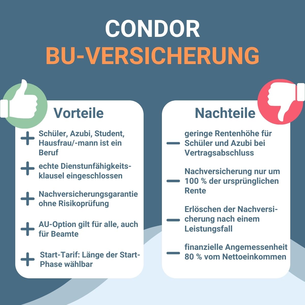 Fazit Vorteile und Nachteile der Condor BU.