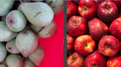Vergleich Äpfel mit Birnen